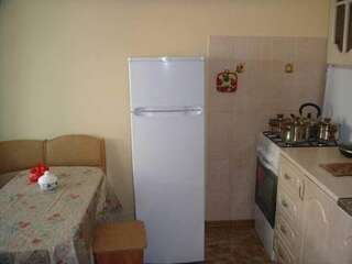 Гостиница Guest house U Niny Адлер Апартаменты с 1 спальней-7